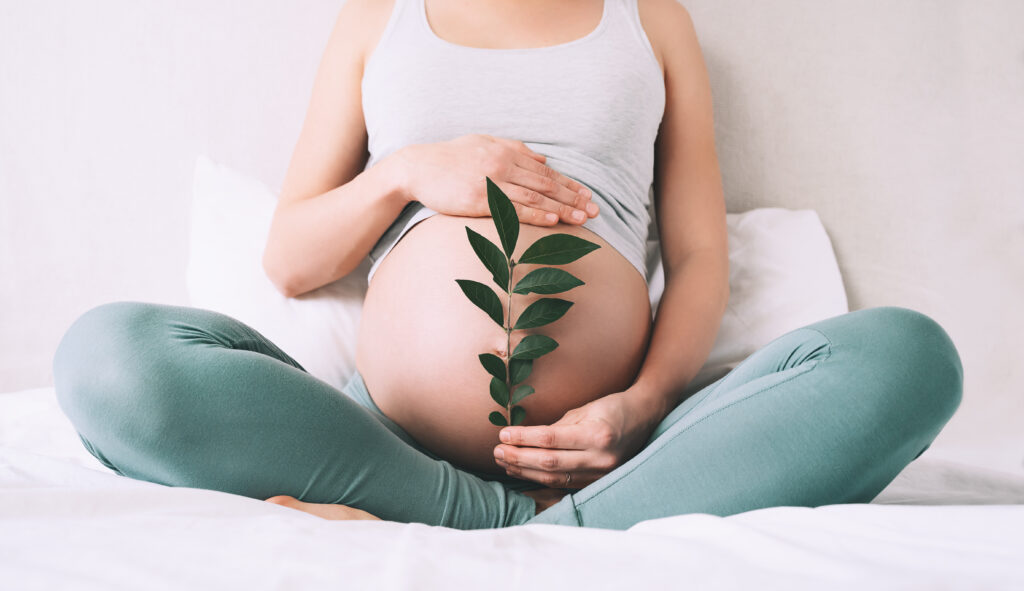 Gestante pré-natal cuidado verde folha saudável